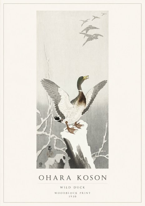 Ohara Koson Wild Duck No1 - Poszter