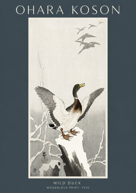 Ohara Koson Wild Duck No2 - Poszter