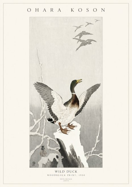 Ohara Koson Wild Duck No3 - Poszter