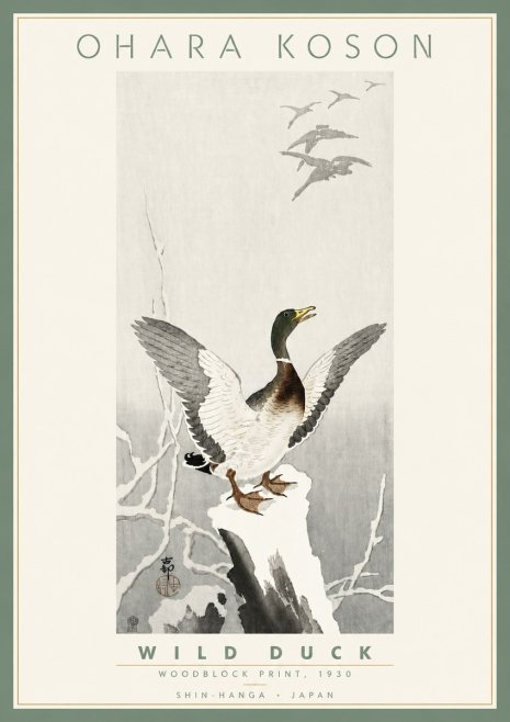 Ohara Koson Wild Duck No4 - Poszter