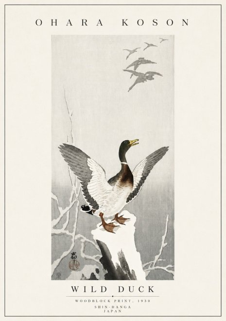 Ohara Koson Wild Duck No5 - Poszter