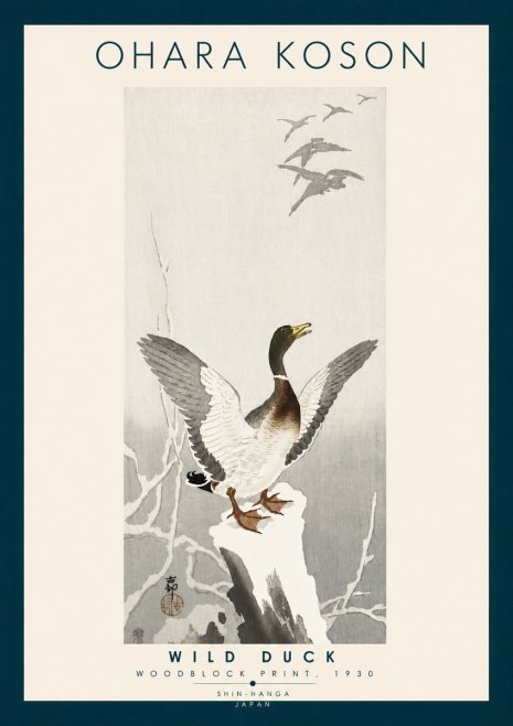 Ohara Koson Wild Duck No6 - Poszter