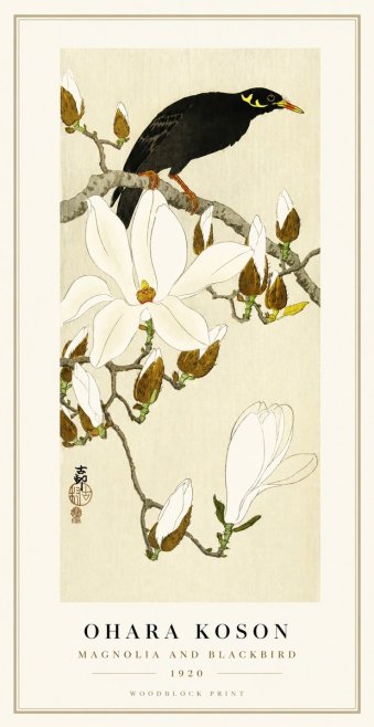 Ohara Koson Magnolia and Blackbird No1 - Poszter