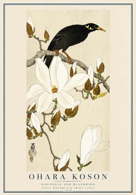 Ohara Koson Magnolia and Blackbird No3 - Poszter