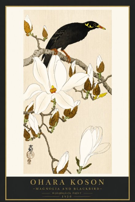 Ohara Koson Magnolia and Blackbird No4 - Poszter