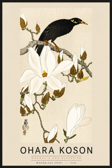 Ohara Koson Magnolia and Blackbird No6 - Poszter
