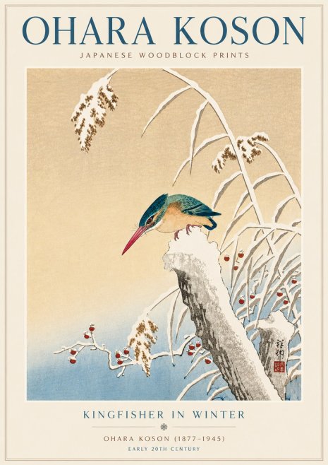 Ohara Koson Kingfisher in Winter II No5 - Poszter
