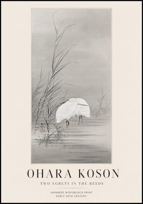 Ohara Koson Two Egrets in the Reeds No1 - Poszter