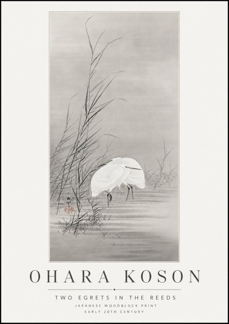Ohara Koson Two Egrets in the Reeds No3 - Poszter