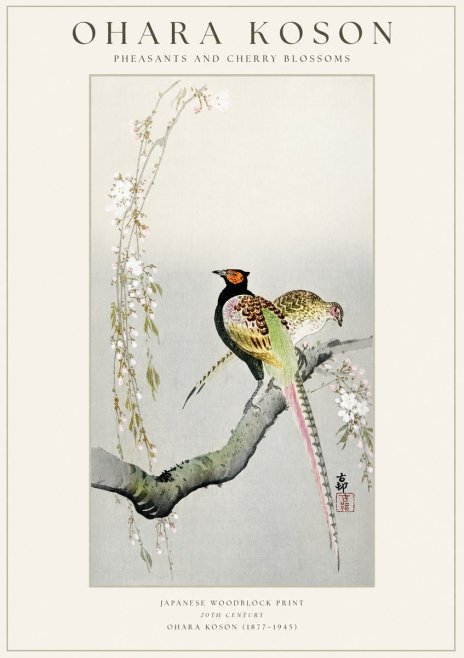 Ohara Koson Pheasants and Cherry Blossoms II No1 - Poszter