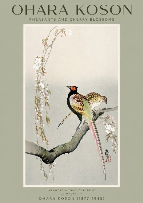 Ohara Koson Pheasants and Cherry Blossoms II No2 - Poszter