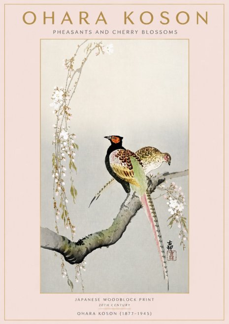 Ohara Koson Pheasants and Cherry Blossoms II No3 - Poszter