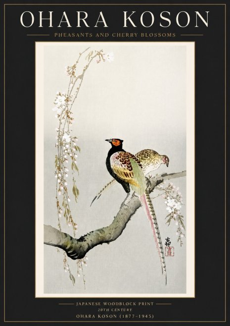 Ohara Koson Pheasants and Cherry Blossoms II No4 - Poszter