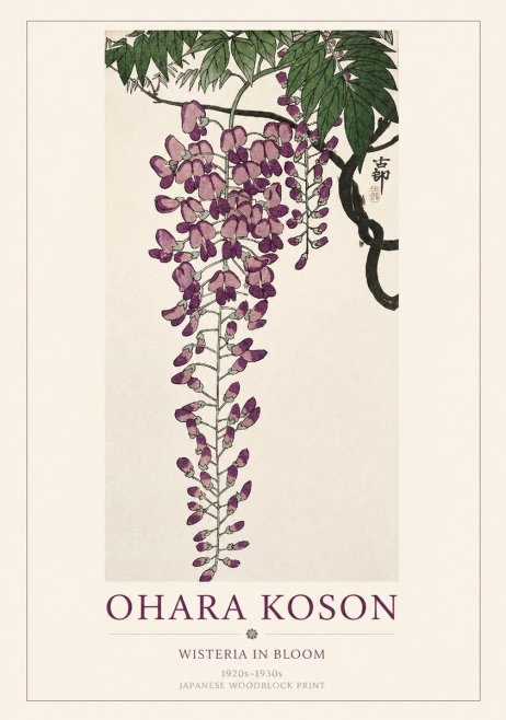 Ohara Koson Wisteria in Bloom No1 - Poszter