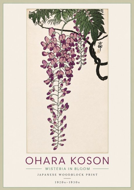 Ohara Koson Wisteria in Bloom No3 - Poszter