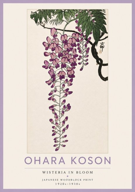 Ohara Koson Wisteria in Bloom No4 - Poszter