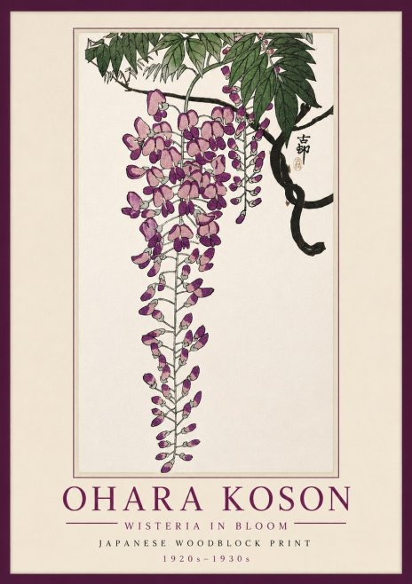 Ohara Koson Wisteria in Bloom No5 - Poszter