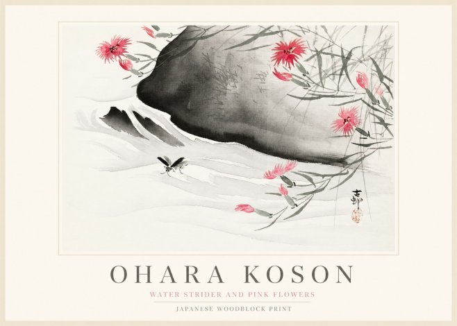 Ohara Koson Water Strider and Pink Flowers No1 - Poszter