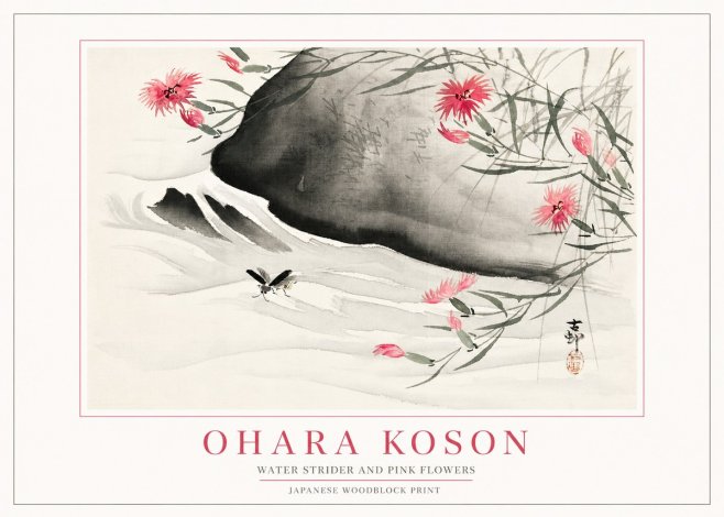 Ohara Koson Water Strider and Pink Flowers No2 - Poszter