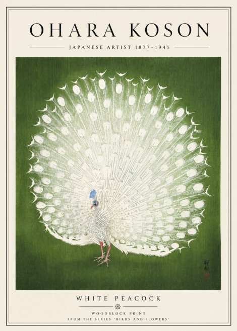 Ohara Koson White Peacock No5 - Poszter