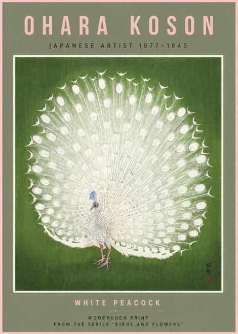 Ohara Koson White Peacock No6 - Poszter
