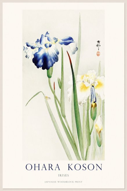 Ohara Koson Irises II No1 - Poszter
