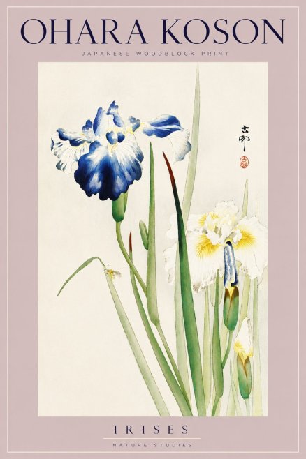Ohara Koson Irises II No6 - Poszter