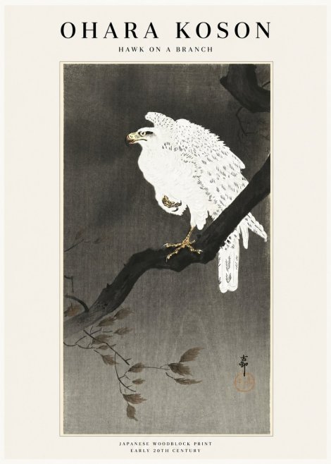 Ohara Koson Hawk on a Branch II No1 - Poszter