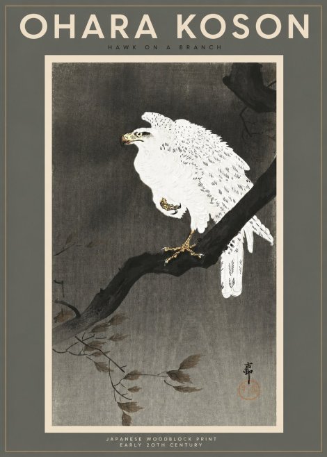 Ohara Koson Hawk on a Branch II No2 - Poszter