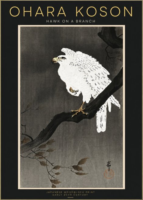Ohara Koson Hawk on a Branch II No4 - Poszter