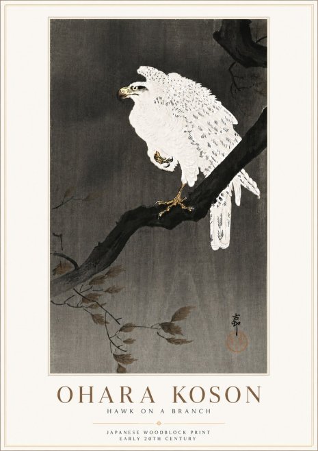 Ohara Koson Hawk on a Branch II No6 - Poszter