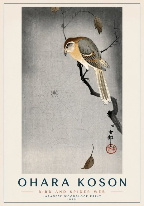 Ohara Koson Bird and Spider Web II No3 - Poszter