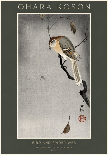 Ohara Koson Bird and Spider Web II No5 - Poszter