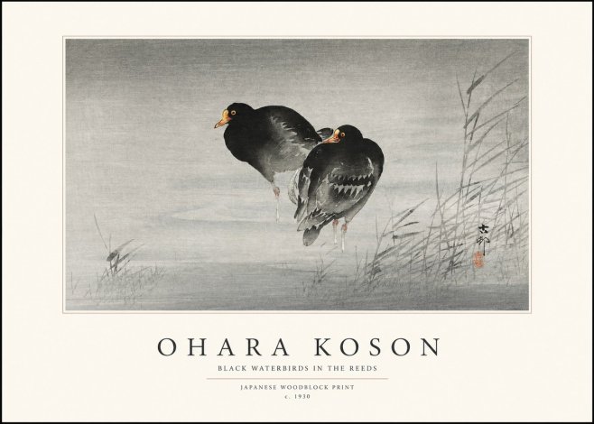 Ohara Koson Black Waterbirds in the Reeds No1 - Poszter