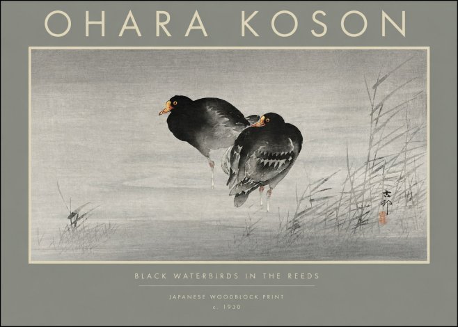 Ohara Koson Black Waterbirds in the Reeds No2 - Poszter