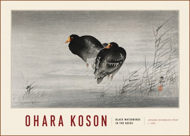 Ohara Koson Black Waterbirds in the Reeds No3 - Poszter
