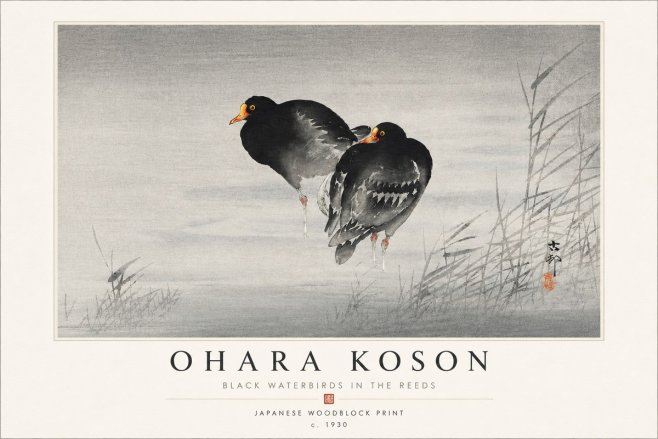 Ohara Koson Black Waterbirds in the Reeds No4 - Poszter