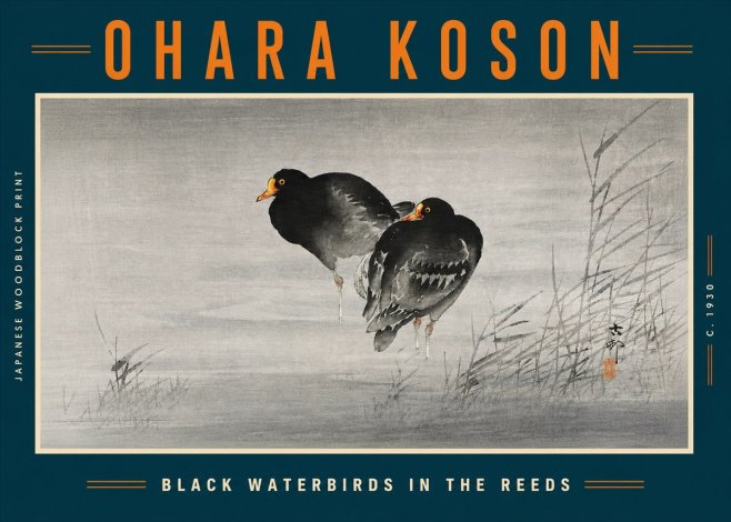 Ohara Koson Black Waterbirds in the Reeds No5 - Poszter