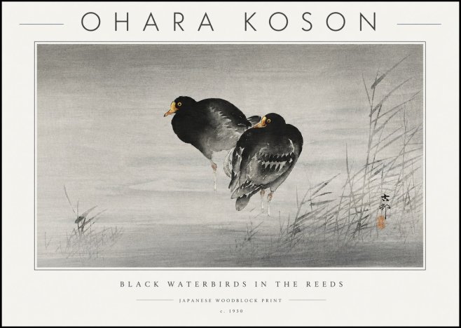 Ohara Koson Black Waterbirds in the Reeds No6 - Poszter