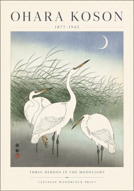 Ohara Koson Three Herons in the Moonlight No3 - Poszter