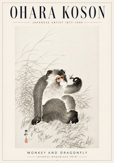 Ohara Koson Monkey and Dragonfly No5 - Poszter