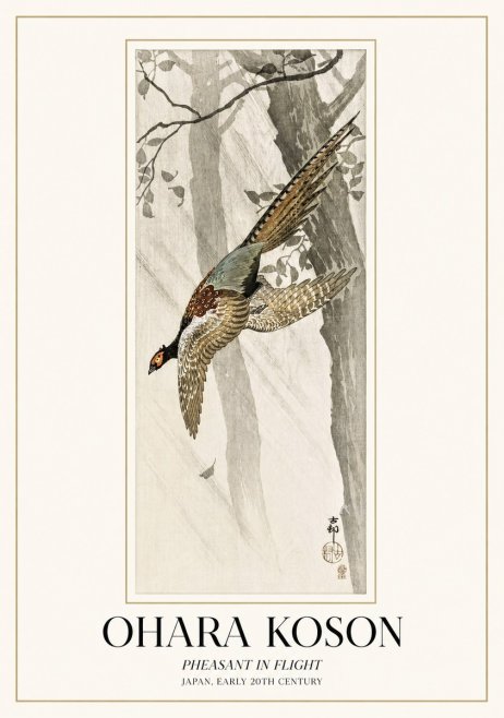 Ohara Koson Pheasant in Flight No1 - Poszter