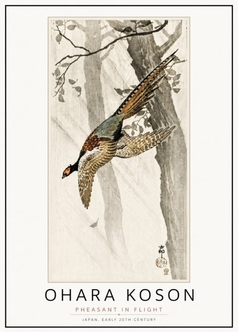 Ohara Koson Pheasant in Flight No4 - Poszter