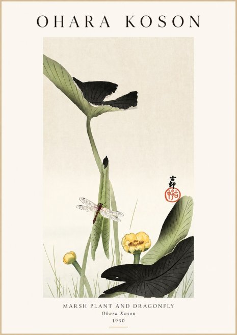 Ohara Koson Marsh Plant and Dragonfly No1 - Poszter