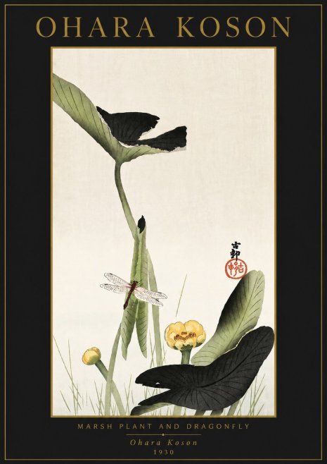 Ohara Koson Marsh Plant and Dragonfly No5 - Poszter