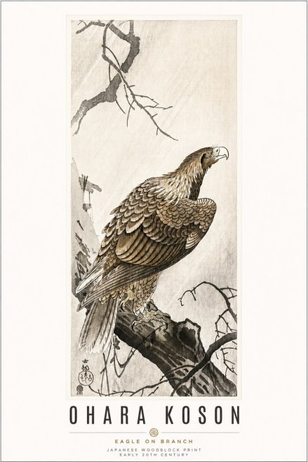 Ohara Koson Eagle on Branch No3 - Poszter