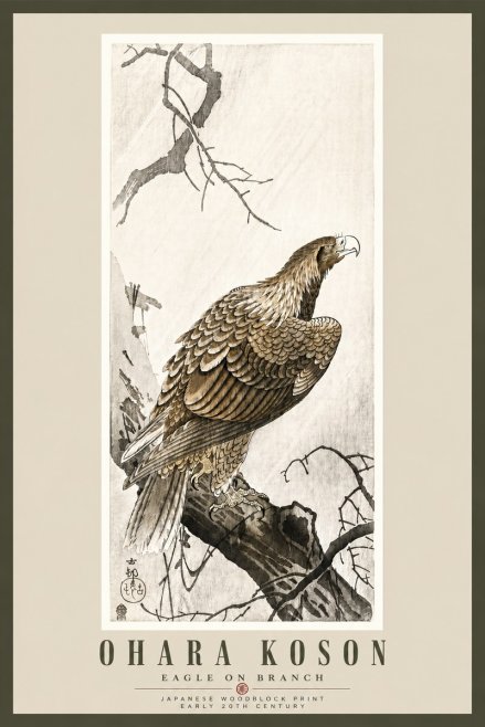 Ohara Koson Eagle on Branch No5 - Poszter