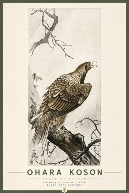 Ohara Koson Eagle on Branch No6 - Poszter