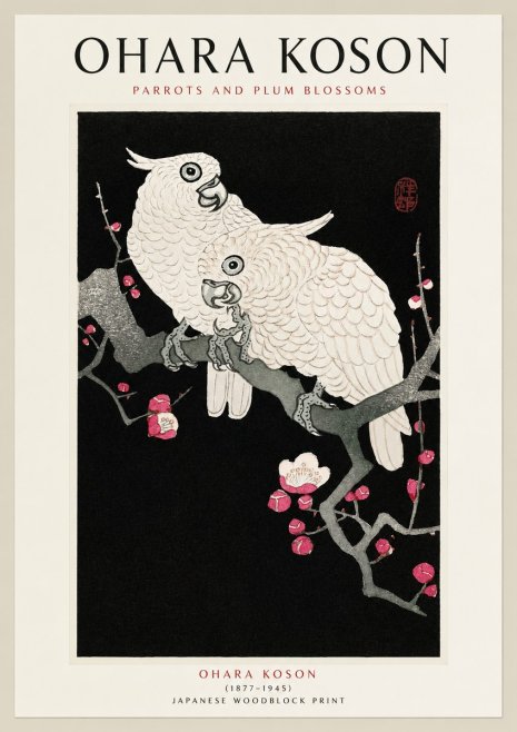 Ohara Koson Parrots and Plum Blossoms No1 - Poszter