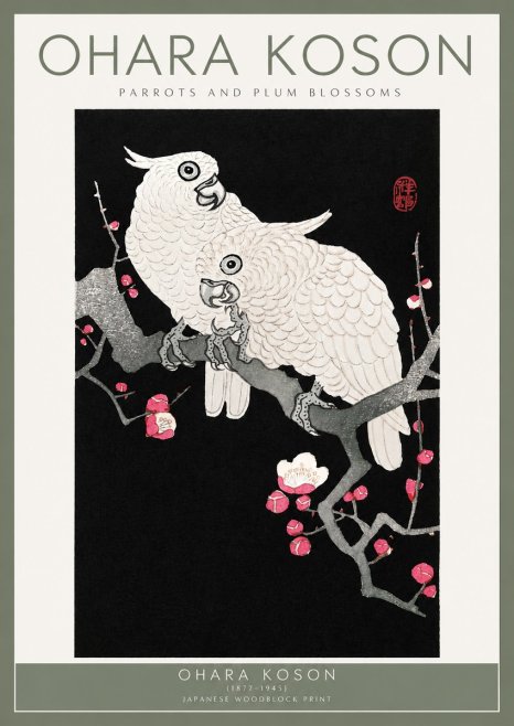 Ohara Koson Parrots and Plum Blossoms No2 - Poszter